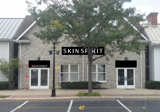 Skin Spirit Sign – Minor Project Review
