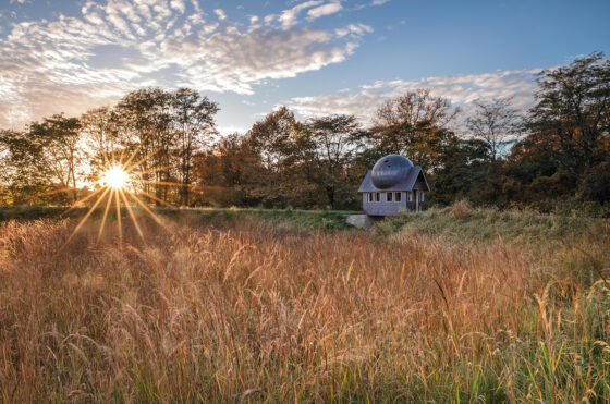 Dublin Creates: Arts, Culture & Literature
