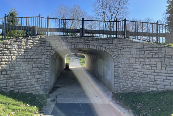 Pedestrian Tunnel Maintenance Plan